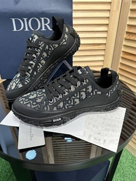 : Кроссовки Dior 51999