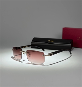 {{productViewItem.photos[photoViewList.activeNavIndex].Alt || productViewItem.photos[photoViewList.activeNavIndex].Description || 'Очки Cartier'}}