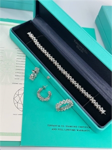 {{productViewItem.photos[photoViewList.activeNavIndex].Alt || productViewItem.photos[photoViewList.activeNavIndex].Description || 'Браслет Tiffany&amp;Co'}}