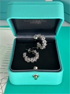{{productViewItem.photos[photoViewList.activeNavIndex].Alt || productViewItem.photos[photoViewList.activeNavIndex].Description || 'Серьги Tiffany&amp;Co'}}