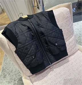 {{productViewItem.photos[photoViewList.activeNavIndex].Alt || productViewItem.photos[photoViewList.activeNavIndex].Description || 'Жилет DIOR'}}