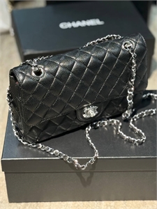 {{productViewItem.photos[photoViewList.activeNavIndex].Alt || productViewItem.photos[photoViewList.activeNavIndex].Description || 'Сумка CHANEL'}}