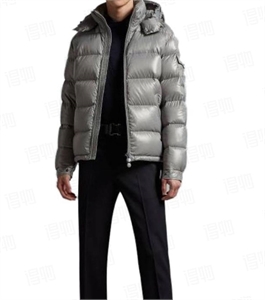 {{productViewItem.photos[photoViewList.activeNavIndex].Alt || productViewItem.photos[photoViewList.activeNavIndex].Description || 'Пуховик MONCLER'}}