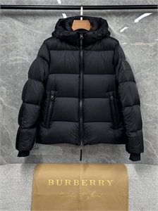 {{productViewItem.photos[photoViewList.activeNavIndex].Alt || productViewItem.photos[photoViewList.activeNavIndex].Description || 'Пуховик Burberry'}}