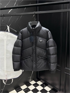 {{productViewItem.photos[photoViewList.activeNavIndex].Alt || productViewItem.photos[photoViewList.activeNavIndex].Description || 'Пуховик PRADA'}}