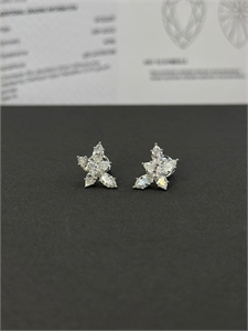 {{productViewItem.photos[photoViewList.activeNavIndex].Alt || productViewItem.photos[photoViewList.activeNavIndex].Description || 'Бриллиантовые серьги GRAFF золото 750 п'}}