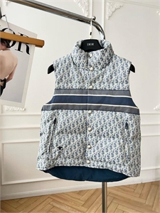 {{productViewItem.photos[photoViewList.activeNavIndex].Alt || productViewItem.photos[photoViewList.activeNavIndex].Description || 'Жилет DIOR'}}