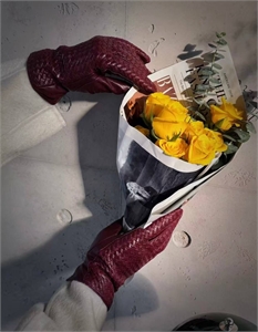 Перчатки BV 168587