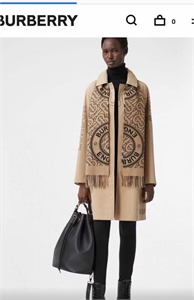 {{productViewItem.photos[photoViewList.activeNavIndex].Alt || productViewItem.photos[photoViewList.activeNavIndex].Description || 'Шарф BURBERRY 100 % Кашемир'}}