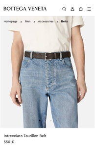 {{productViewItem.photos[photoViewList.activeNavIndex].Alt || productViewItem.photos[photoViewList.activeNavIndex].Description || 'Ремень BOTTEGA VENETA'}}