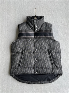 {{productViewItem.photos[photoViewList.activeNavIndex].Alt || productViewItem.photos[photoViewList.activeNavIndex].Description || 'Жилет DIOR'}}