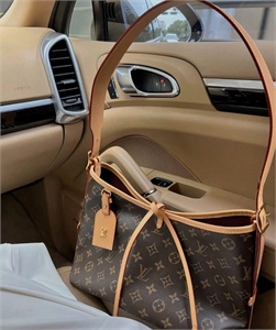 Сумка LOUIS VUITTON 169741
