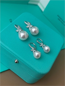 {{productViewItem.photos[photoViewList.activeNavIndex].Alt || productViewItem.photos[photoViewList.activeNavIndex].Description || 'Серьги Tiffany&amp;Co Серебро 925'}}