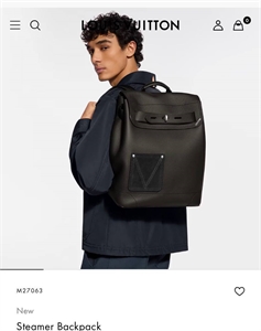 {{productViewItem.photos[photoViewList.activeNavIndex].Alt || productViewItem.photos[photoViewList.activeNavIndex].Description || 'Рюкзак LV'}}