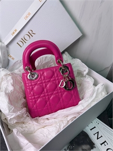 {{productViewItem.photos[photoViewList.activeNavIndex].Alt || productViewItem.photos[photoViewList.activeNavIndex].Description || 'Сумка DIOR'}}