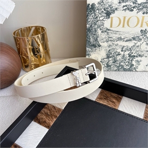 {{productViewItem.photos[photoViewList.activeNavIndex].Alt || productViewItem.photos[photoViewList.activeNavIndex].Description || 'Ремень DIOR'}}