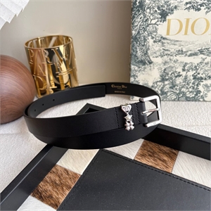 {{productViewItem.photos[photoViewList.activeNavIndex].Alt || productViewItem.photos[photoViewList.activeNavIndex].Description || 'Ремень DIOR'}}