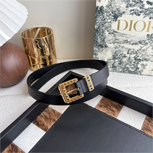 {{productViewItem.photos[photoViewList.activeNavIndex].Alt || productViewItem.photos[photoViewList.activeNavIndex].Description || 'Ремень DIOR'}}