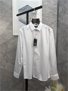 {{productViewItem.photos[photoViewList.activeNavIndex].Alt || productViewItem.photos[photoViewList.activeNavIndex].Description || 'Рубашка SR'}}