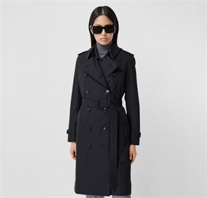 {{productViewItem.photos[photoViewList.activeNavIndex].Alt || productViewItem.photos[photoViewList.activeNavIndex].Description || 'Тренч BURBERRY'}}