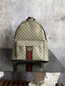 {{productViewItem.photos[photoViewList.activeNavIndex].Alt || productViewItem.photos[photoViewList.activeNavIndex].Description || 'Рюкзак  GUCCI'}}