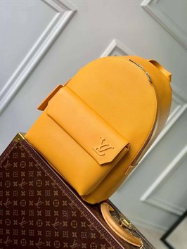 Рюкзак Louis Vuitton 28521