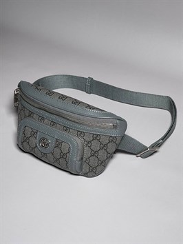 Поясная сумка Gucci 57780