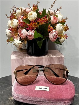 Очки miu miu 70219