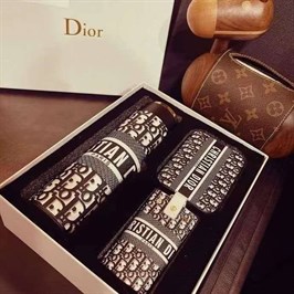 Комплект (термос, ключница, чехол) Christian Dior BMS-85058