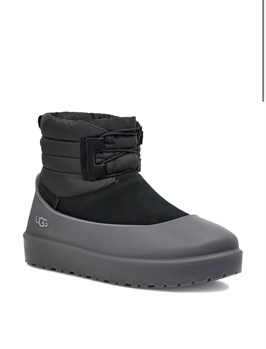 UGG 12678