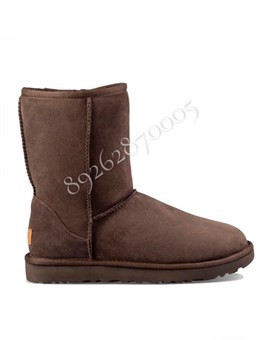 Ботинки Ugg 12333