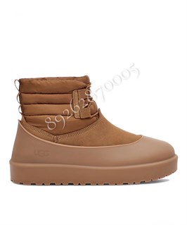 Ботинки Ugg 12342