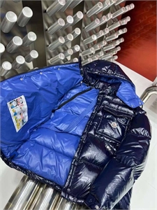 {{productViewItem.photos[photoViewList.activeNavIndex].Alt || productViewItem.photos[photoViewList.activeNavIndex].Description || 'Пуховик Moncler'}}