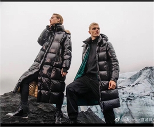 {{productViewItem.photos[photoViewList.activeNavIndex].Alt || productViewItem.photos[photoViewList.activeNavIndex].Description || 'Пуховик Moncler'}}