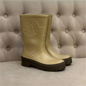 Сапоги DIOR 104995