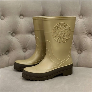 Сапоги DIOR 104995