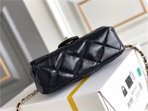 Сумка CHANEL 109073