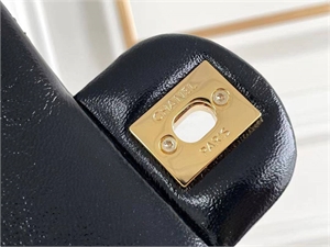 Сумка CHANEL 109073