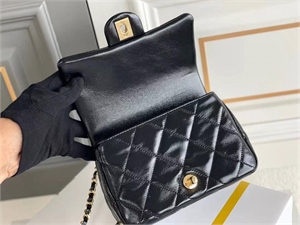 Сумка CHANEL 109073