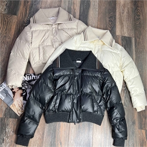 Пуховик 109321