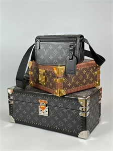 сумка Louis Vuitton 110298 - фото 115598