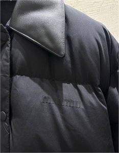 Пуховик MIU MIU 111454
