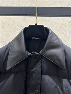 Пуховик MIU MIU 111454