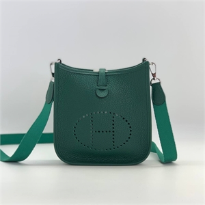 Сумка HERMES Evelyne 112409