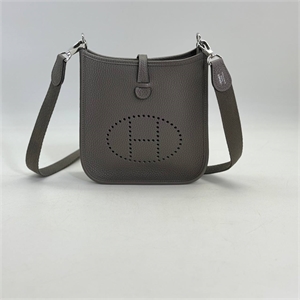 Сумка HERMES Evelyne 112410