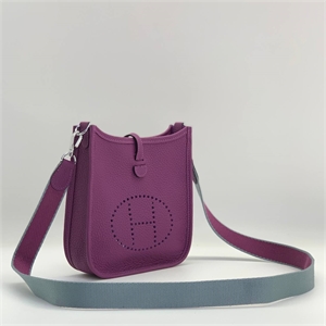 Сумка HERMES Evelyne 112411