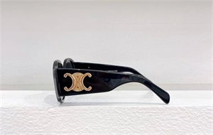 Очки CELINE 113602