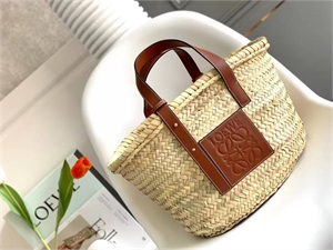 Сумка LOEWE Small 113680