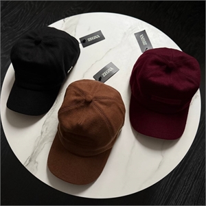 Кепка zegna 114846