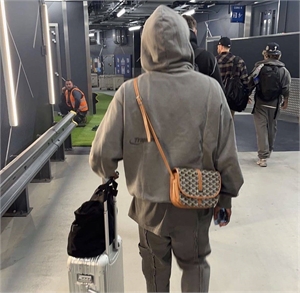 Сумка  GOYARD 116152